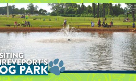 Visiting Shreveport’s Dog Park