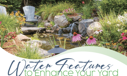 Water features to enhance your yard!