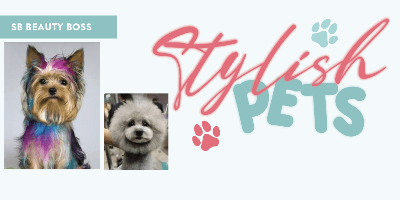 SB Beauty Boss – Stylish pets