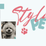 SB Beauty Boss – Stylish pets