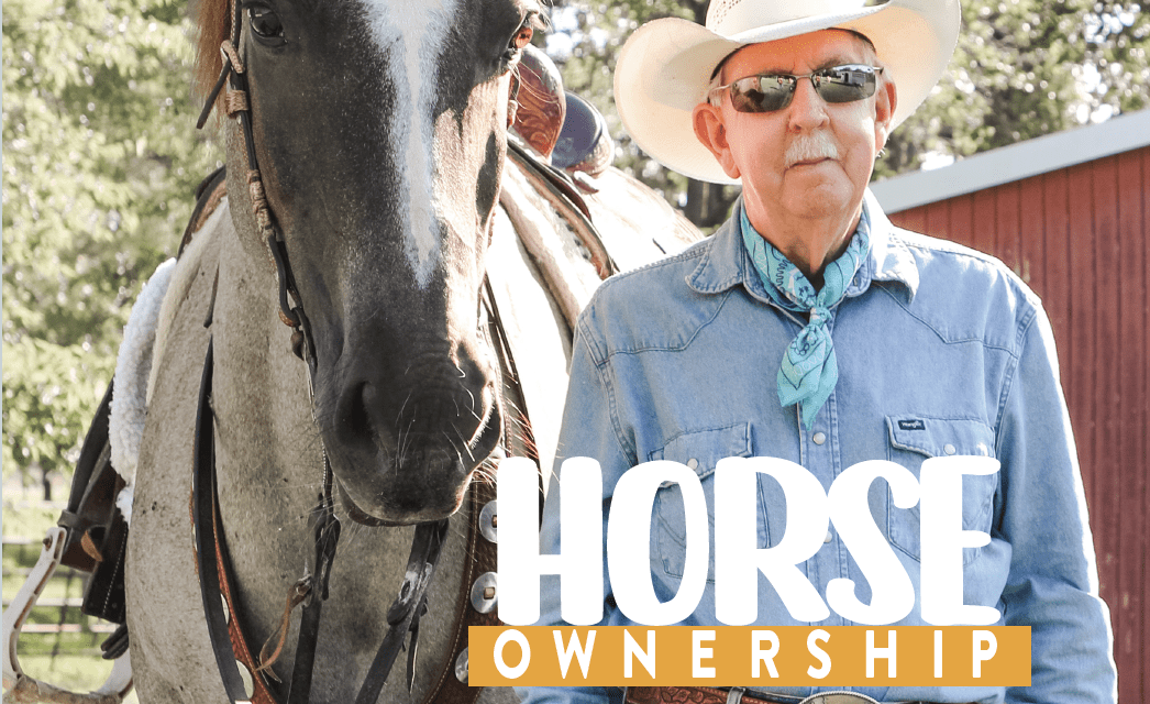 SB PETS – Horse Ownership