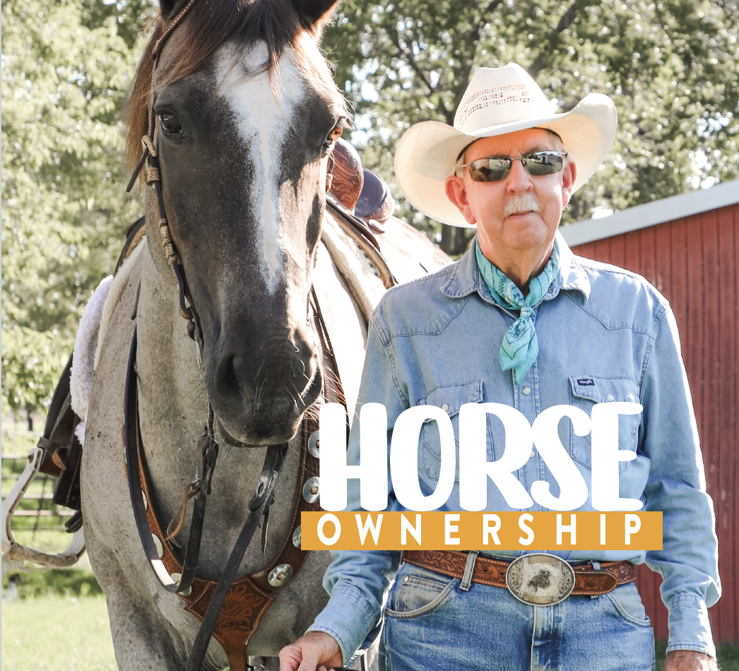 SB PETS - Horse Ownership - SB Magazine