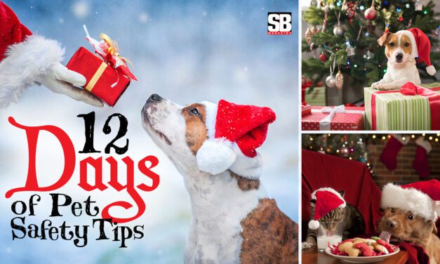 12 Days of Pet Safety Tips for the Holidays