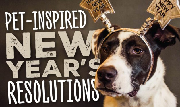 PET-INSPIRED NEW YEAR’S RESOLUTIONS