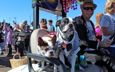 Barkus & Meoux Pet Parade
