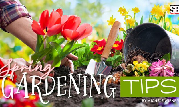 Spring Gardening Tips