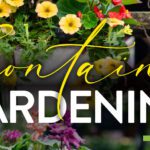 CONTAINER GARDENING