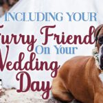 Including your Furry Friend on Your Wedding Day