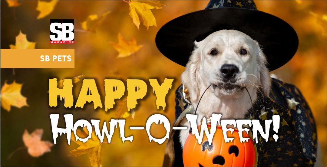 Happy Howl-O-Ween!