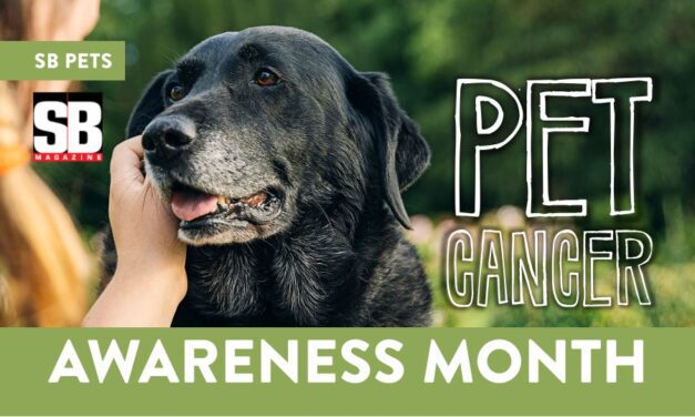 Pet Cancer Awareness Month