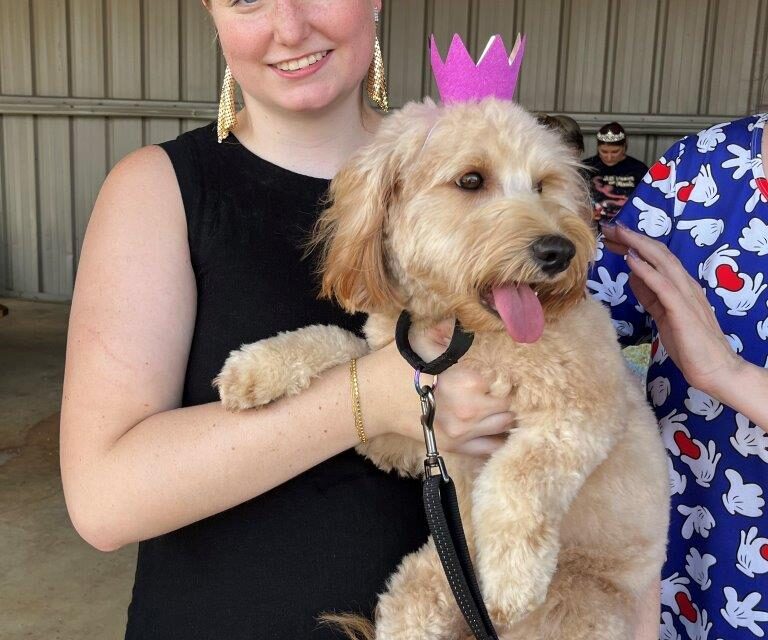 Krewe of Barkus & Meoux XXV Pet Royalty Reveal