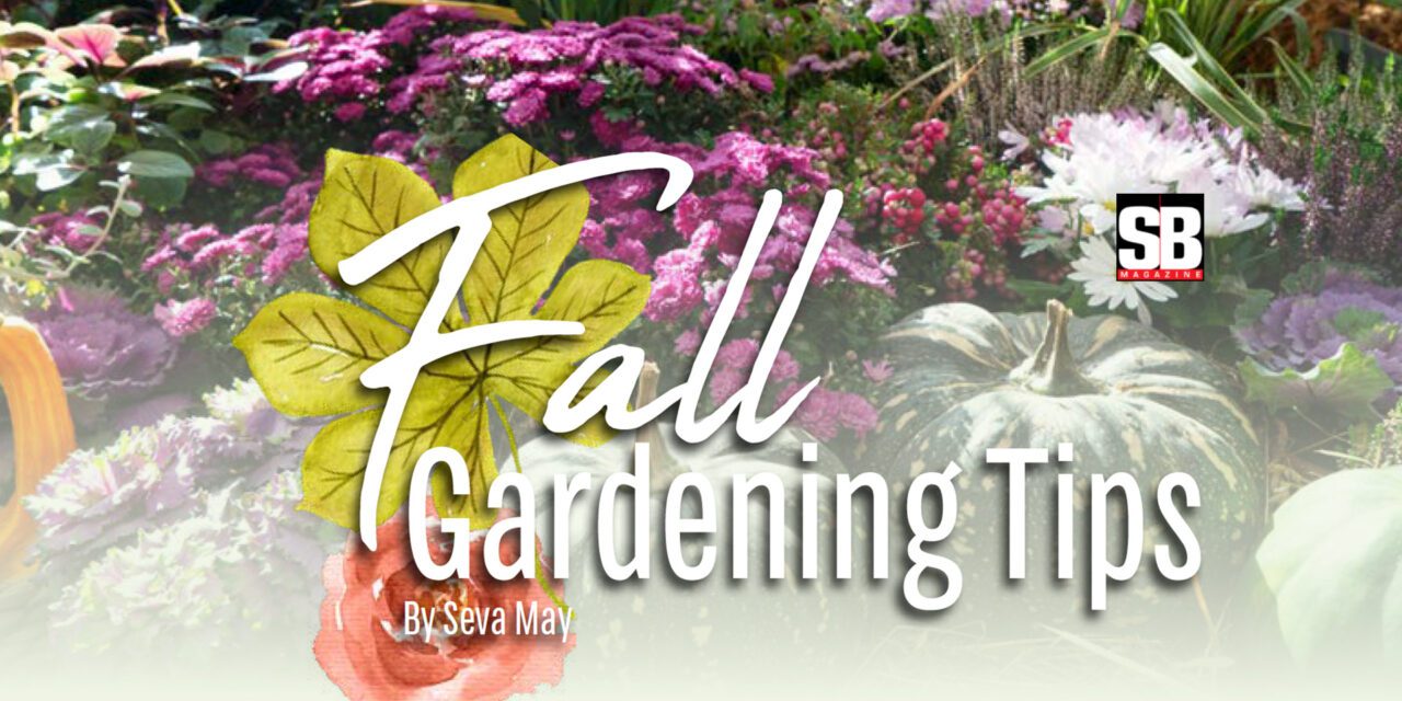 Fall Gardening Tips