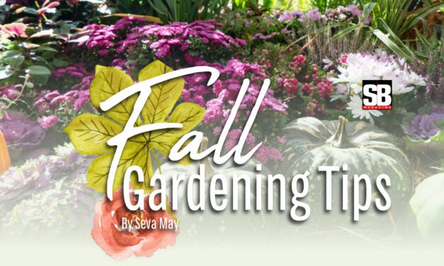 Fall Gardening Tips