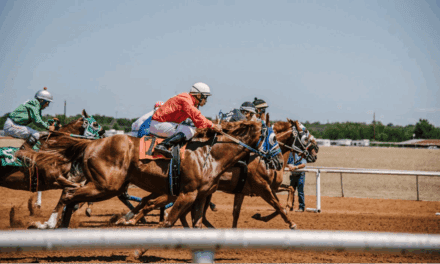 From Paddock to Portfolio: Where Equine Wellness Becomes an Asset Class