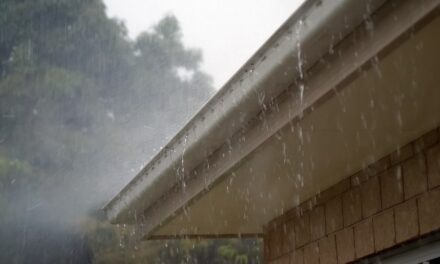 Protect Your Home: Tips to Prevent Water Damage