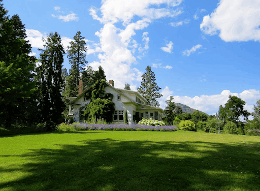 Why is Your Garden Dying?