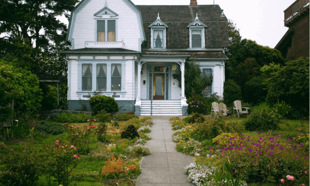 Easy Curb Appeal Tasks That Really Pay Off
