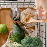 7 Signs You’ve Just Found A High-Quality Ingredients Brand