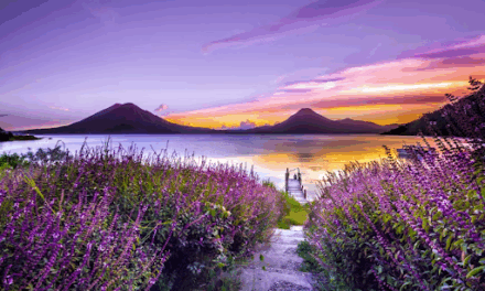 5 Ways to Make the Most of Sightseeing When You Travel