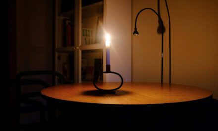 Important Backups Every Home Needs to Stay Secure and Functional