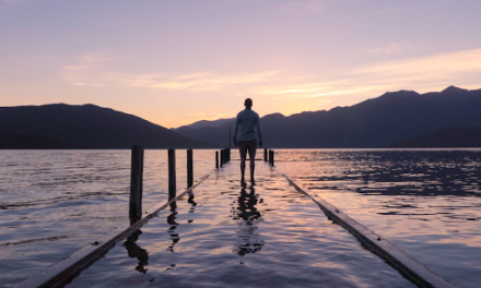 Cultivating a Calmer Life When We’re Feeling Way Too Stressed Out: 4 Major Foundations