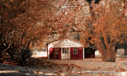 What City Folks Don’t Realize About Rural Living