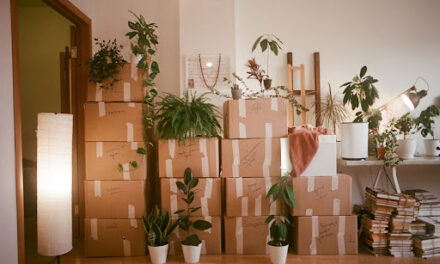 How to Plan a Move Without Disrupting Daily Life