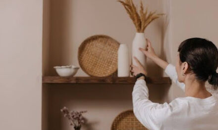 How to Incorporate Natural Elements Into Your Home’s Decor