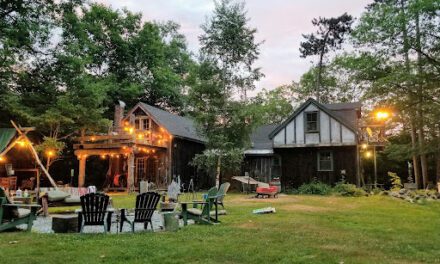 Simple Changes That Can Completely Transform Your Garden