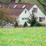 The Home Repairs You Need To Do At The Start Of Spring/Summer