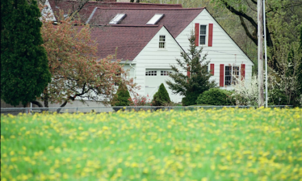 The Home Repairs You Need To Do At The Start Of Spring/Summer