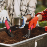 Hobbies that Help Mental Health and Anxiety