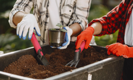 Hobbies that Help Mental Health and Anxiety
