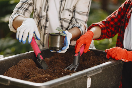Hobbies that Help Mental Health and Anxiety