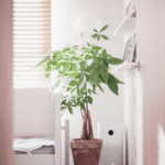 Your Home’s Hidden Health Hazard: The Air You Breathe