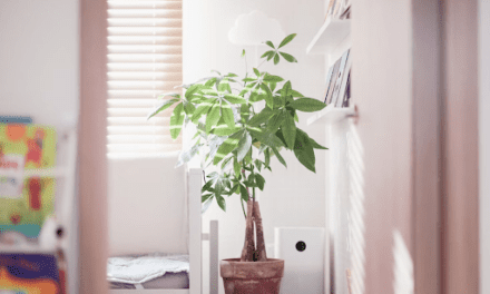 Your Home’s Hidden Health Hazard: The Air You Breathe