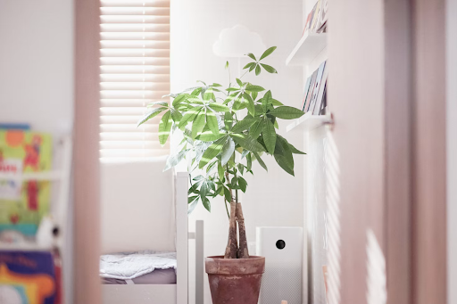 Your Home’s Hidden Health Hazard: The Air You Breathe