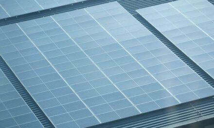 How to Keep Your Solar Panels Performing at Their Best