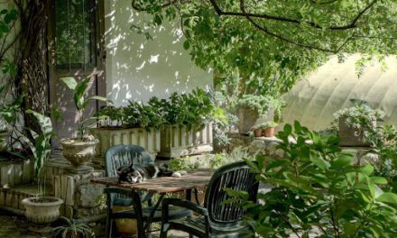 5 Smart Tips to Create a Garden Oasis You’ll Love