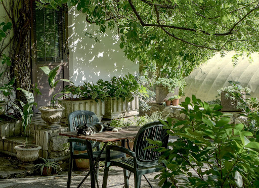 5 Smart Tips to Create a Garden Oasis You’ll Love